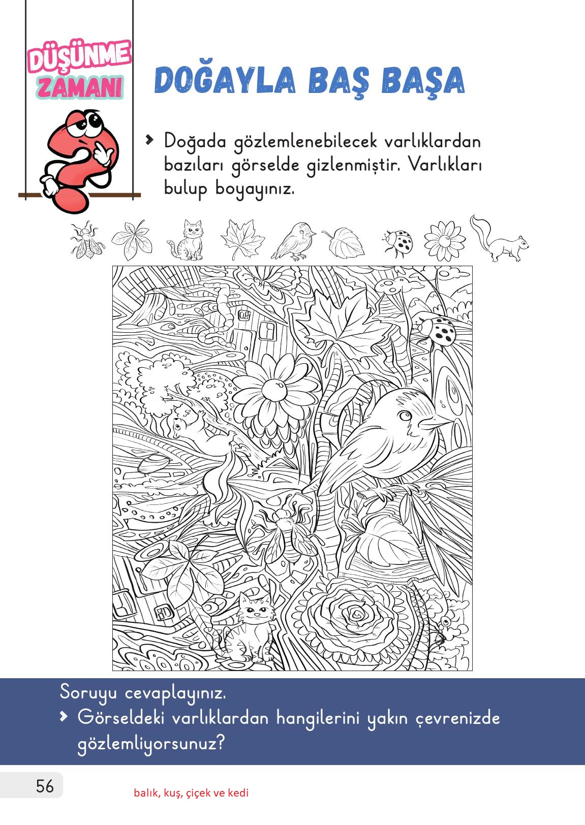 1. Sınıf Meb Yayınları Hayat Bilgisi 2. Kitap Ders Kitabı Sayfa 56 Cevapları