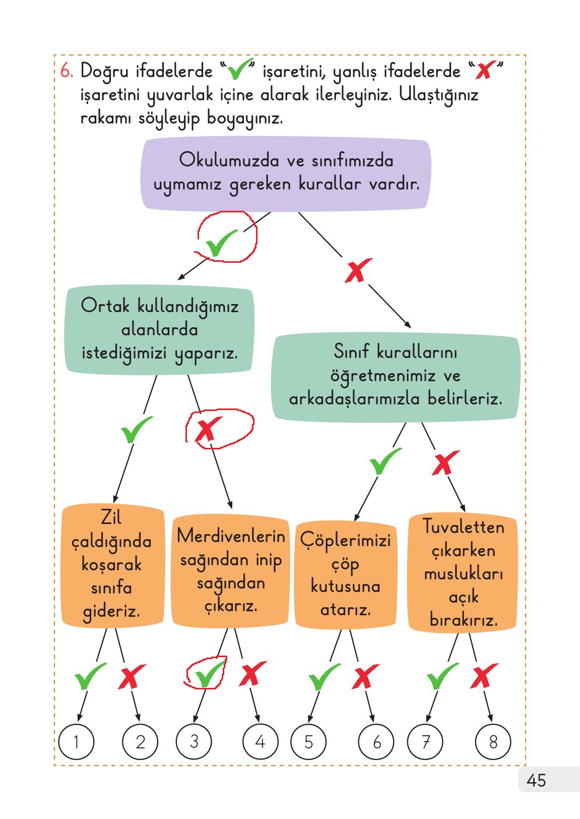 1. Sınıf Meb Yayınları Hayat Bilgisi Ders Kitabı Sayfa 45 Cevapları