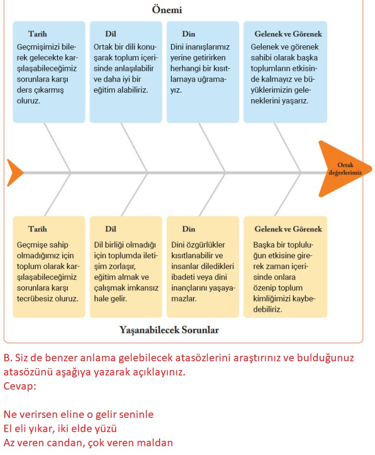 6. Sınıf Evos Yayınları Sosyal Bilgiler Ders Kitabı Sayfa 19 Cevapları 6. Sınıf Evos Yayınları Sosyal Bilgiler Ders Kitabı Sayfa 19 Cevapları