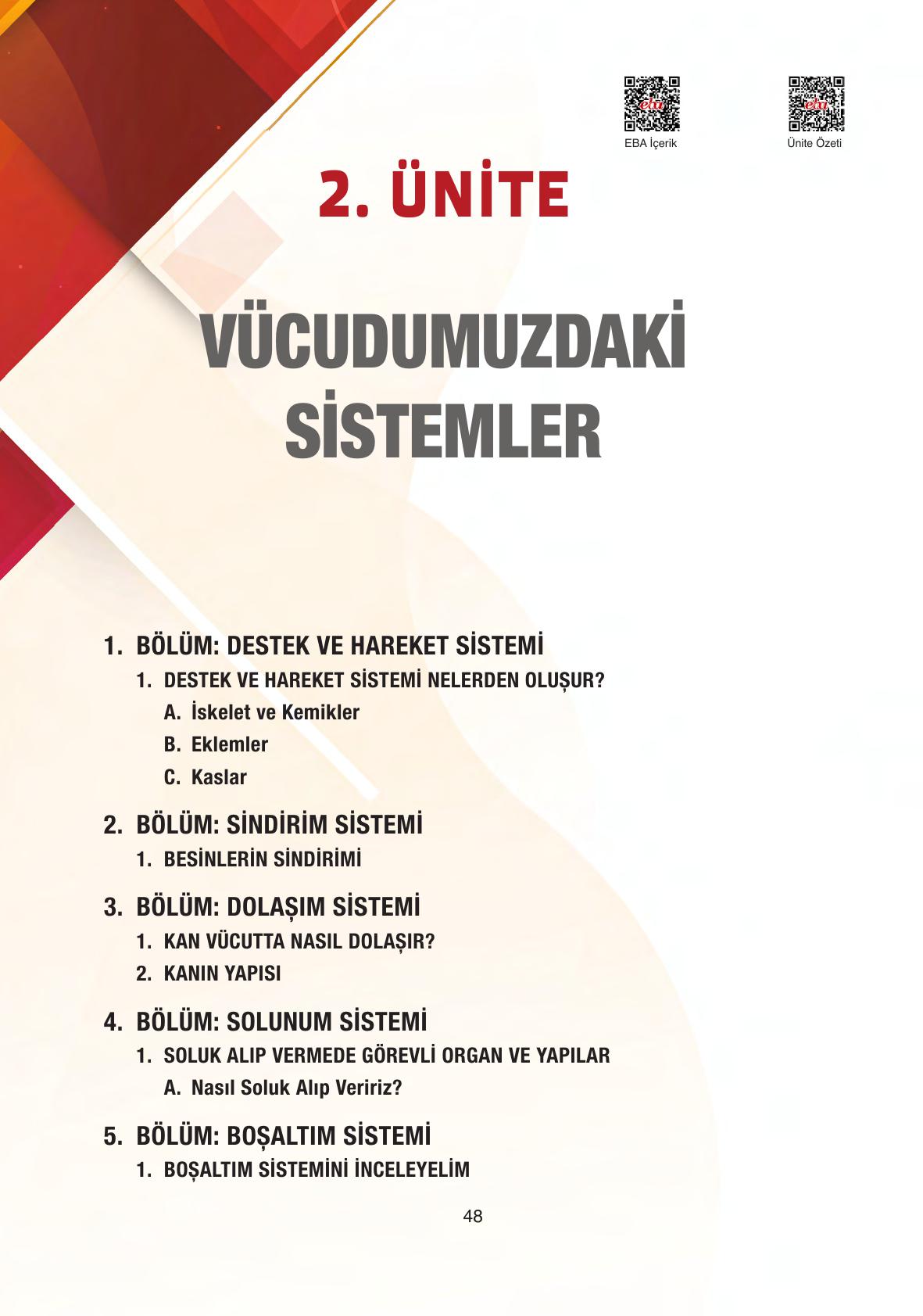 6. Sınıf Gün Yayıncılık Fen Bilimleri Ders Kitabı Sayfa 48 Cevapları 6. Sınıf Gün Yayıncılık Fen Bilimleri Ders Kitabı Sayfa 48 Cevapları