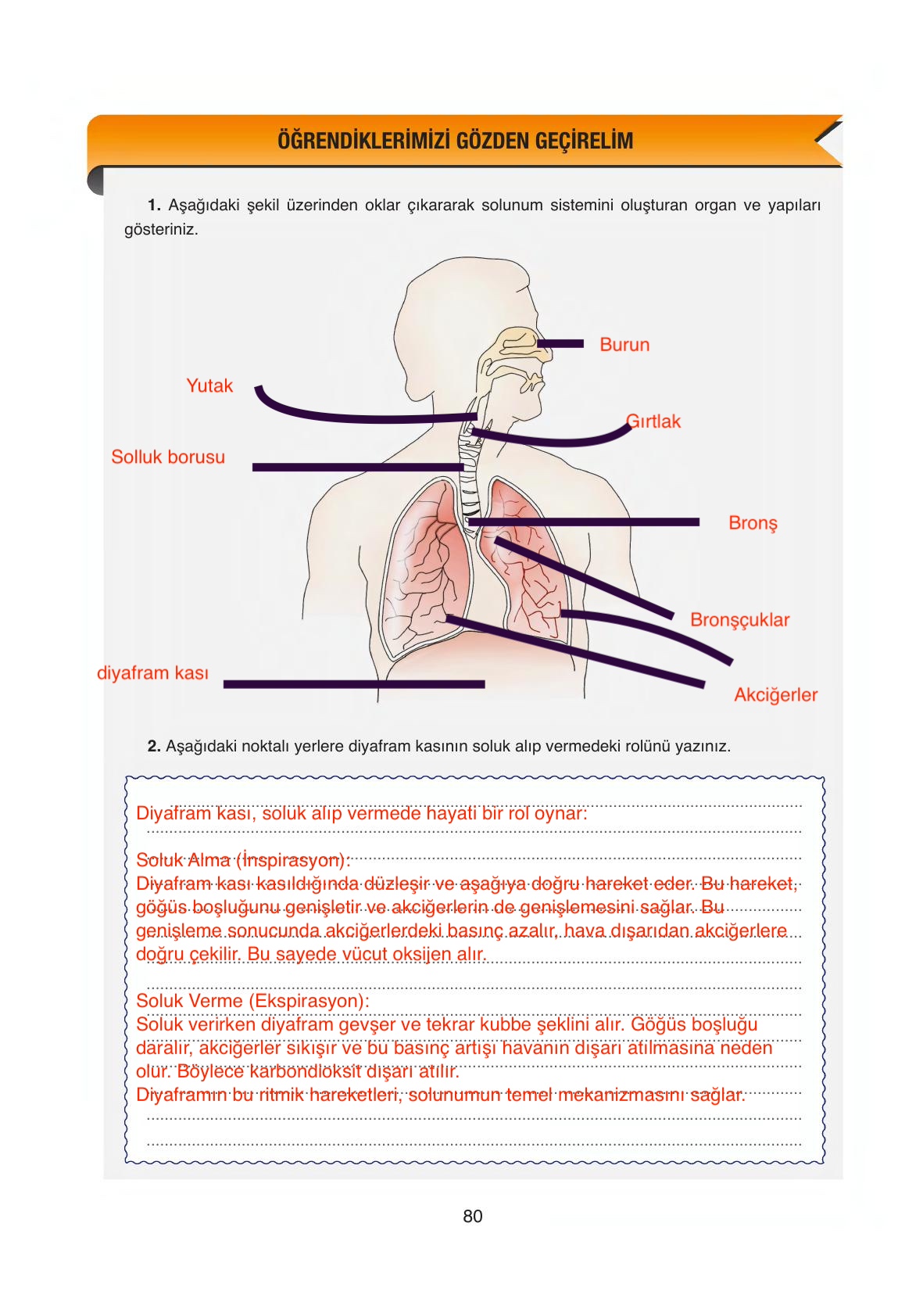 6. Sınıf Gün Yayıncılık Fen Bilimleri Ders Kitabı Sayfa 80 Cevapları 6. Sınıf Gün Yayıncılık Fen Bilimleri Ders Kitabı Sayfa 80 Cevapları
