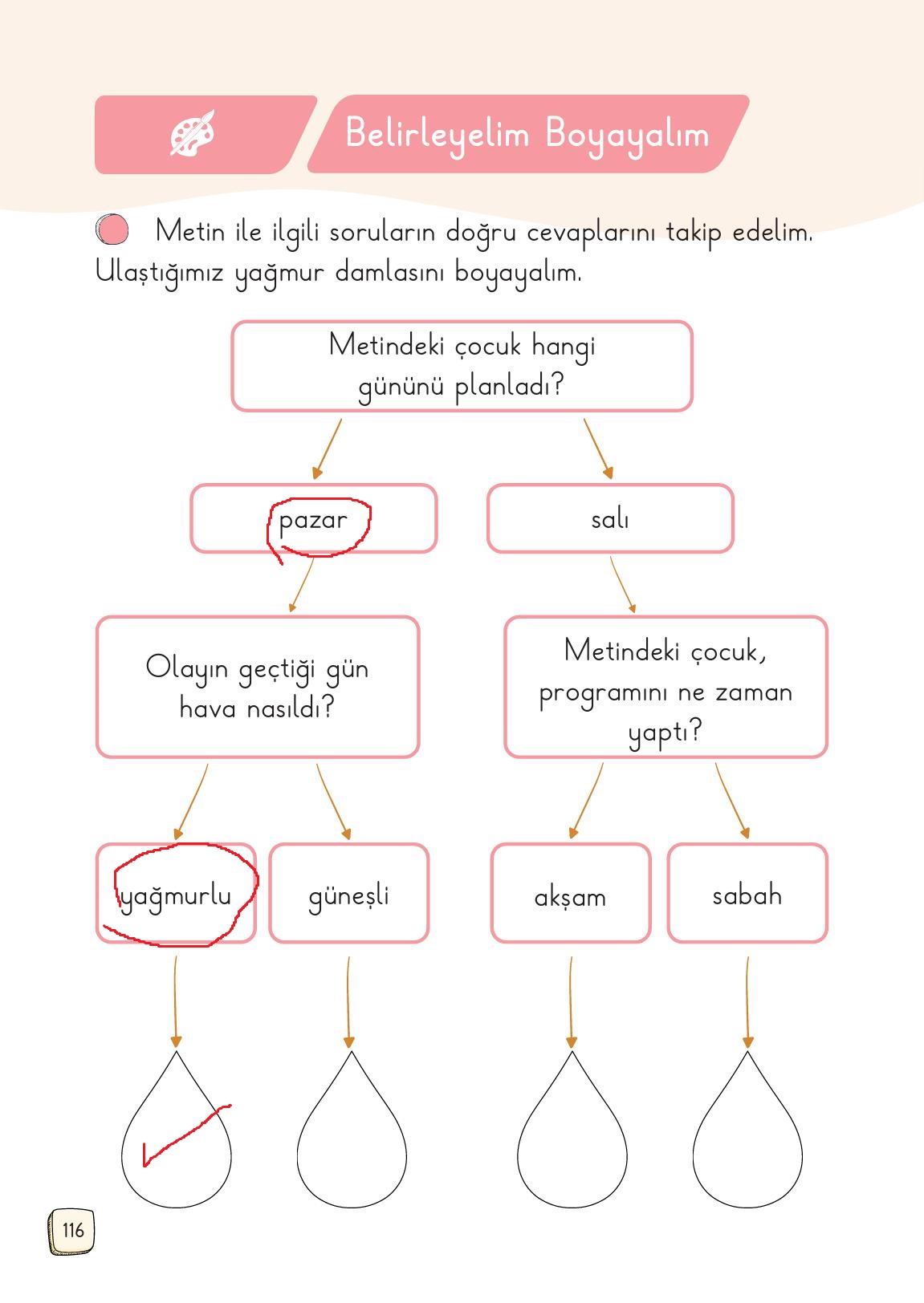 1. Sınıf Meb Yayınları 2. Kitap Türkçe Ders Kitabı Sayfa 116 Cevapları