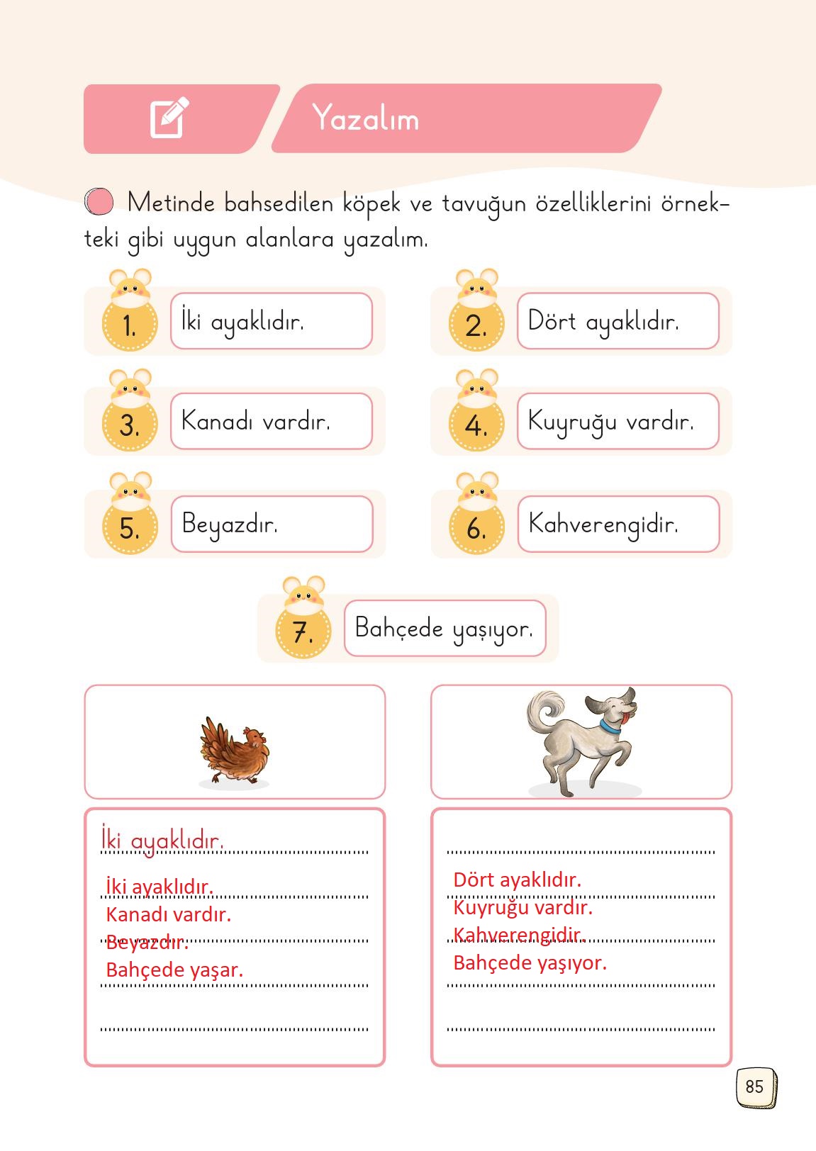 1. Sınıf Meb Yayınları 2. Kitap Türkçe Ders Kitabı Sayfa 85 Cevapları