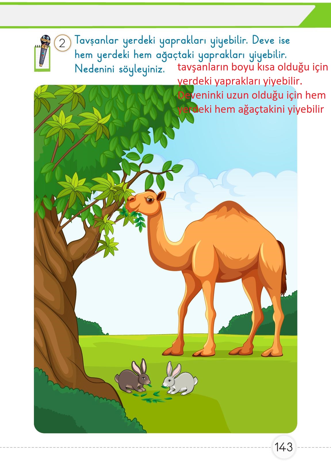 1. Sınıf Meb Yayınları Matematik Ders Kitabı Sayfa 143 Cevapları