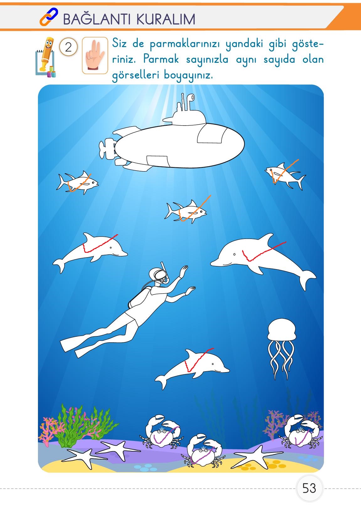 1. Sınıf Meb Yayınları Matematik Ders Kitabı Sayfa 53 Cevapları