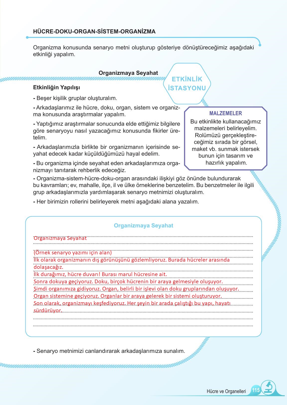 5. Sınıf Meb Yayınları Fen Bilimleri Ders Kitabı Sayfa 115 Cevapları 5. Sınıf Meb Yayınları Fen Bilimleri Ders Kitabı Sayfa 115 Cevapları