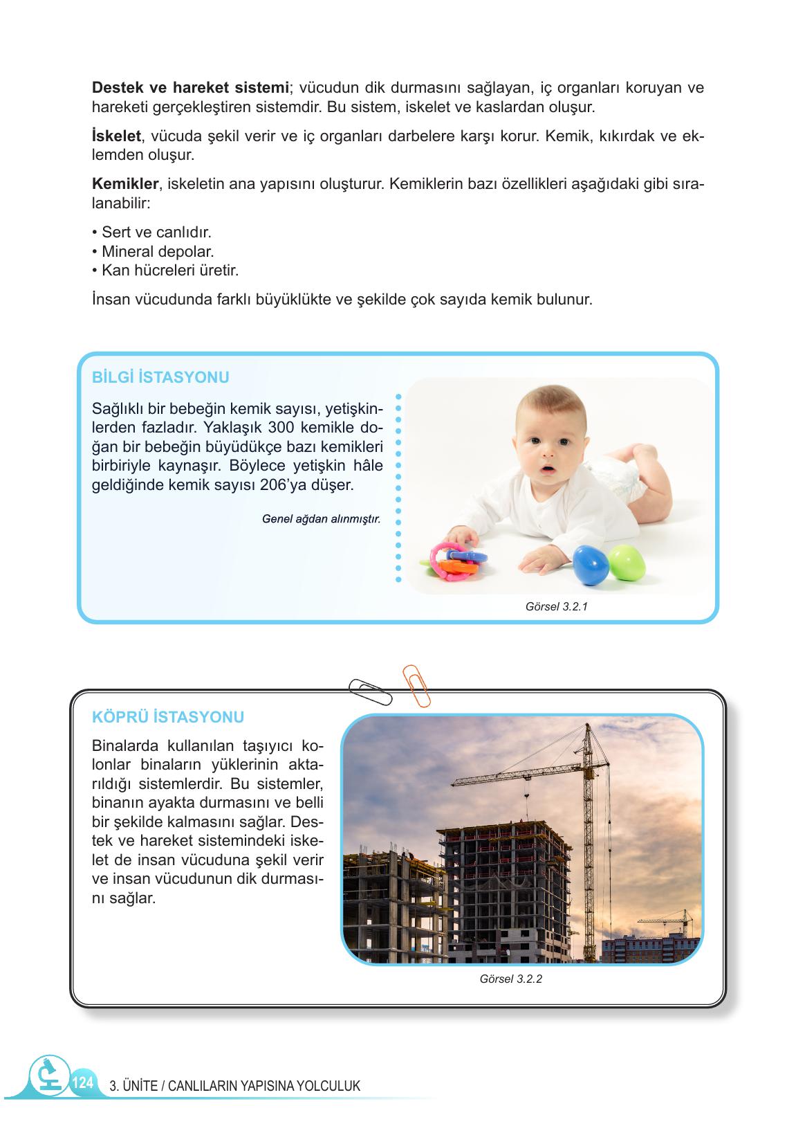 5. Sınıf Meb Yayınları Fen Bilimleri Ders Kitabı Sayfa 124 Cevapları 5. Sınıf Meb Yayınları Fen Bilimleri Ders Kitabı Sayfa 124 Cevapları