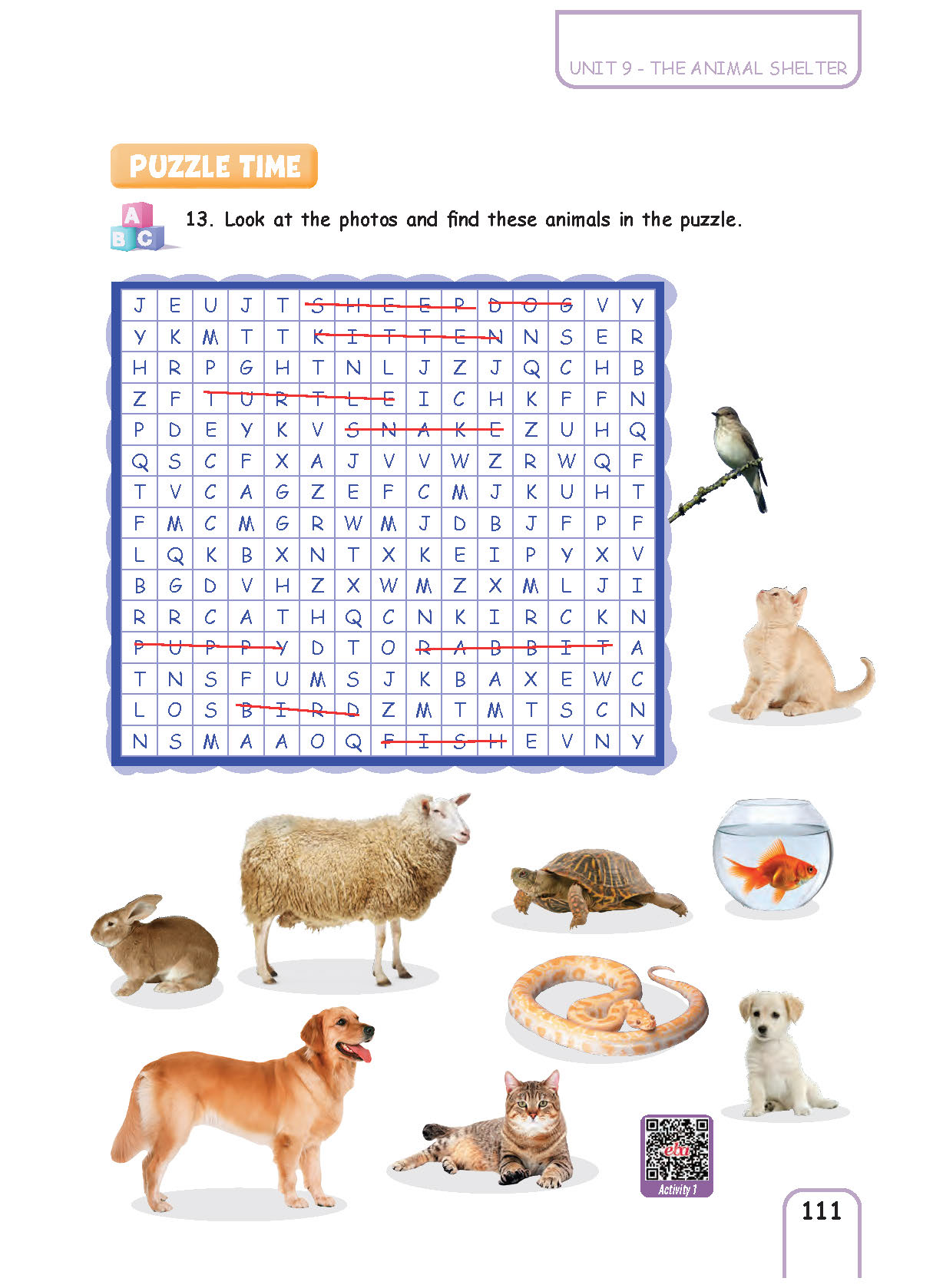 5. Sınıf Pasifik Yayınları İngilizce Ders Kitabı Sayfa 111 Cevapları