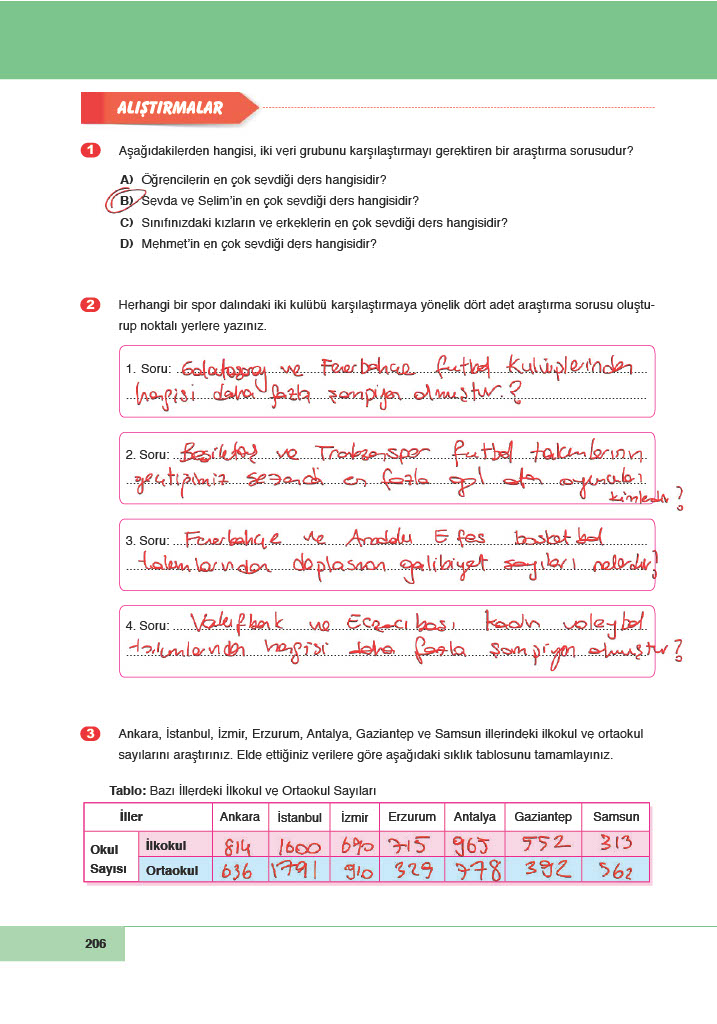 6. Sınıf Doğa Yayınları Matematik Ders Kitabı Sayfa 206 Cevapları