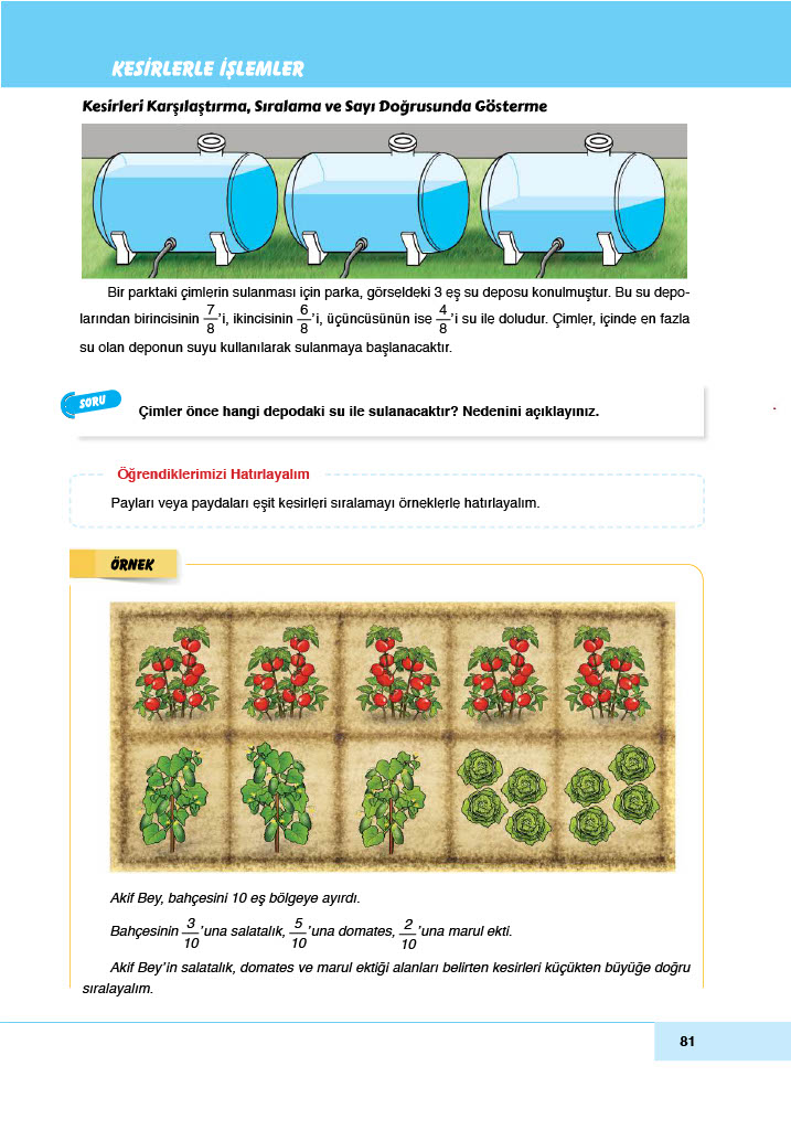 6. Sınıf Doğa Yayınları Matematik Ders Kitabı Sayfa 81 Cevapları