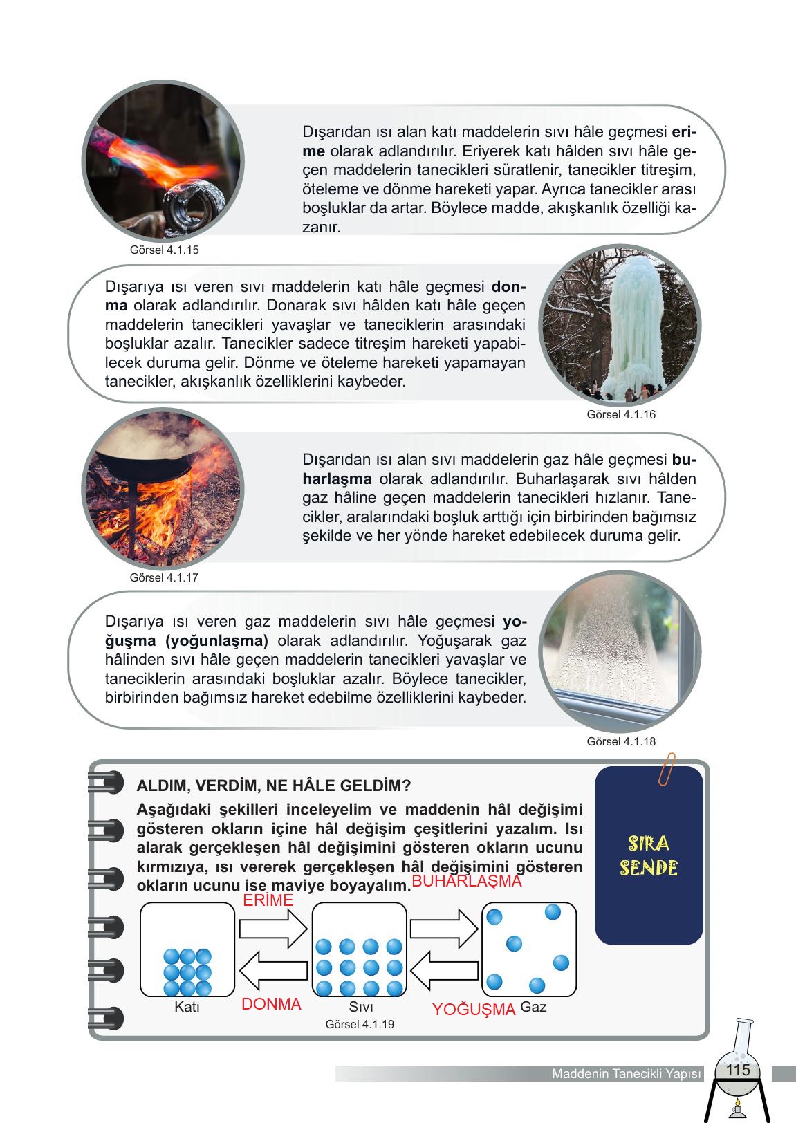 6. Sınıf Meb Yayınları Fen Bilimleri Ders Kitabı Sayfa 115 Cevapları