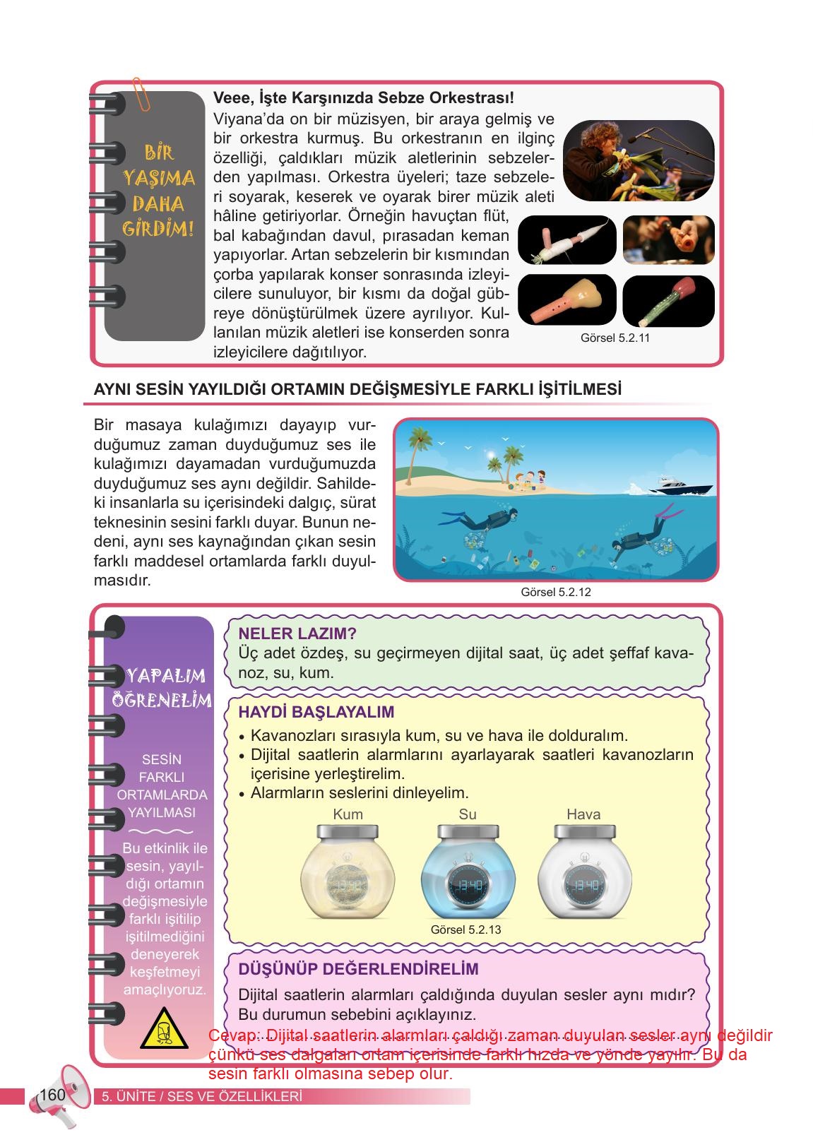 6. Sınıf Meb Yayınları Fen Bilimleri Ders Kitabı Sayfa 160 Cevapları