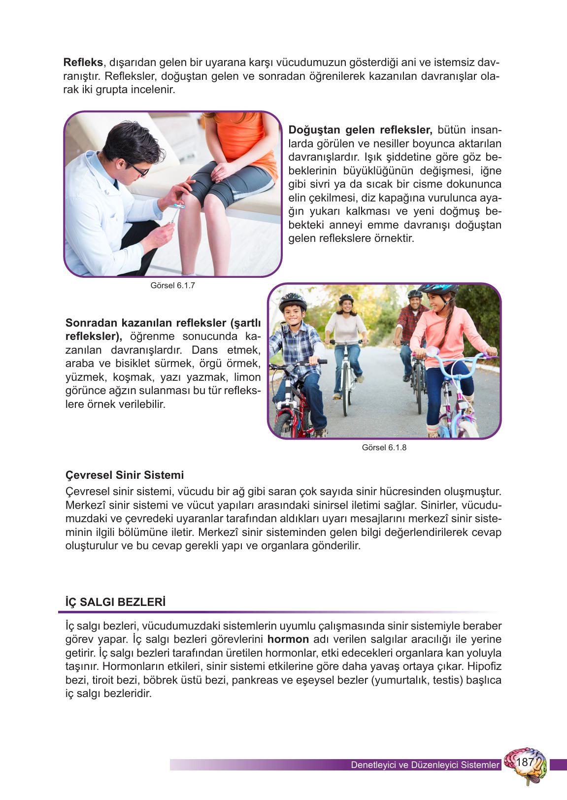 6. Sınıf Meb Yayınları Fen Bilimleri Ders Kitabı Sayfa 187 Cevapları