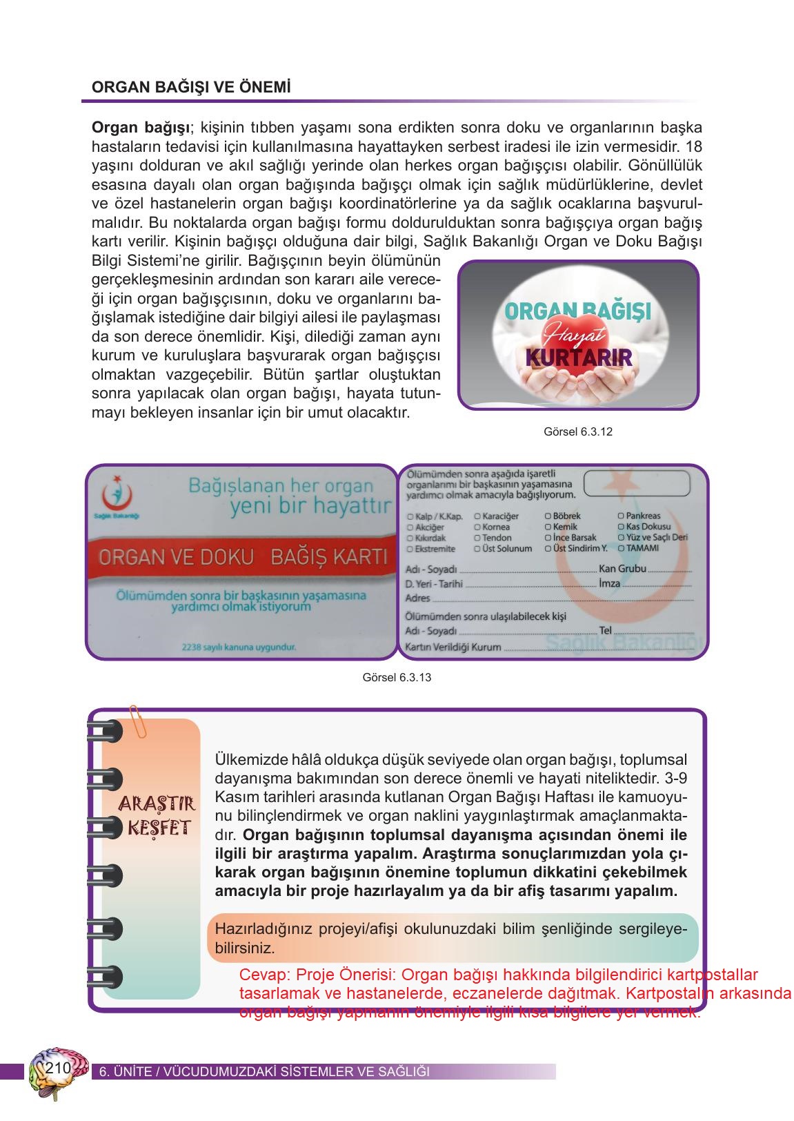 6. Sınıf Meb Yayınları Fen Bilimleri Ders Kitabı Sayfa 210 Cevapları 6. Sınıf Meb Yayınları Fen Bilimleri Ders Kitabı Sayfa 210 Cevapları