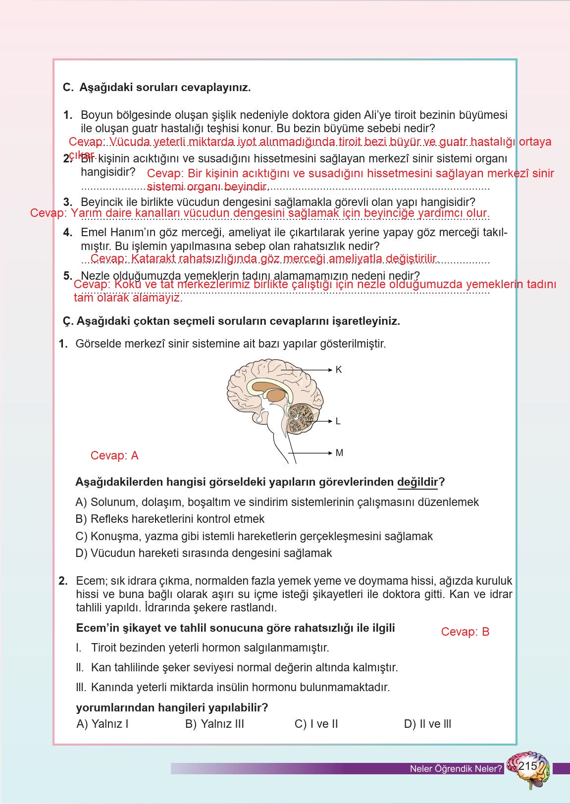 6. Sınıf Meb Yayınları Fen Bilimleri Ders Kitabı Sayfa 215 Cevapları