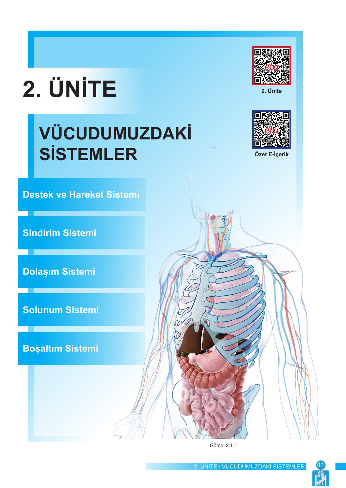 6. Sınıf Meb Yayınları Fen Bilimleri Ders Kitabı Sayfa 41 Cevapları