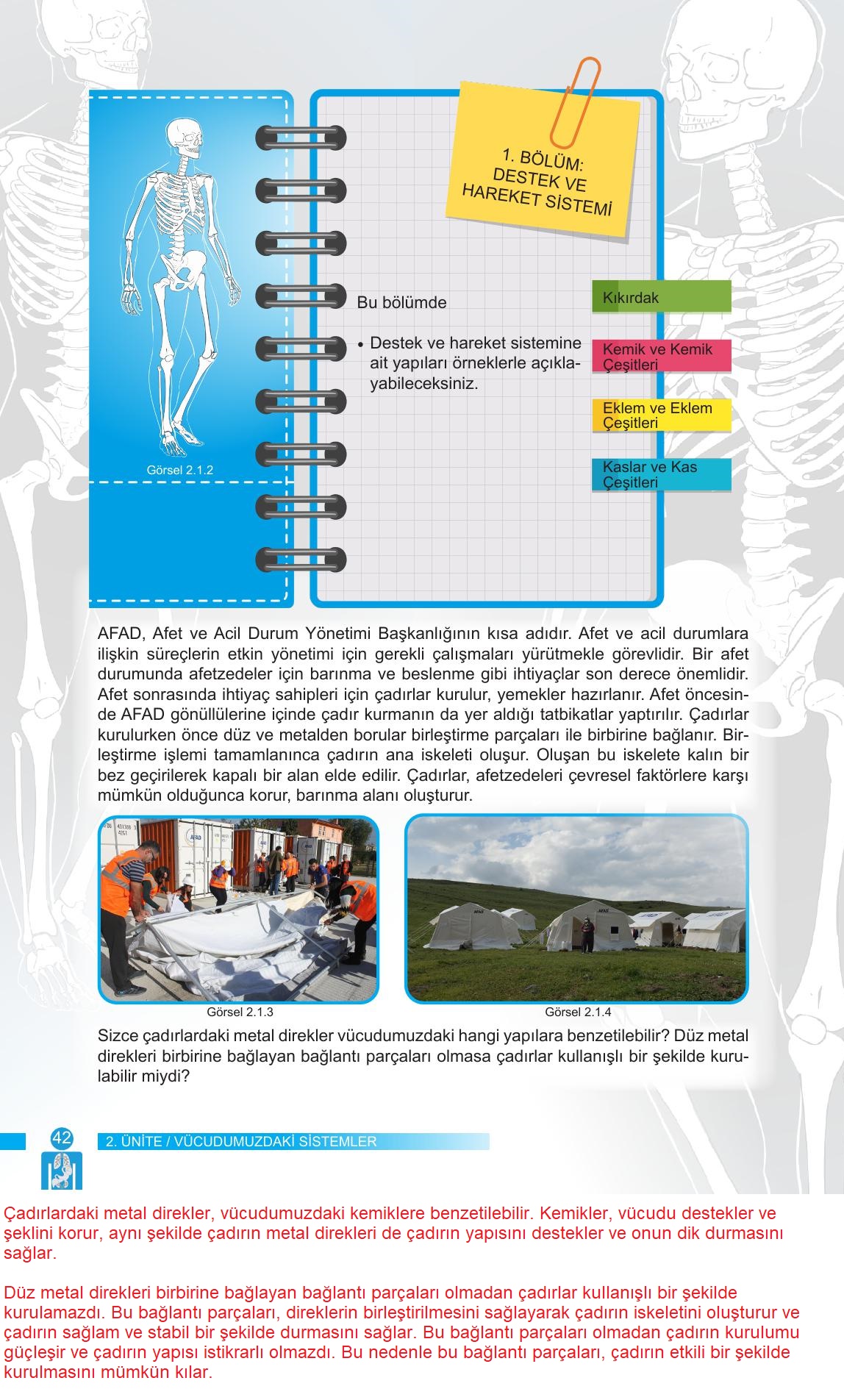 6. Sınıf Meb Yayınları Fen Bilimleri Ders Kitabı Sayfa 42 Cevapları
