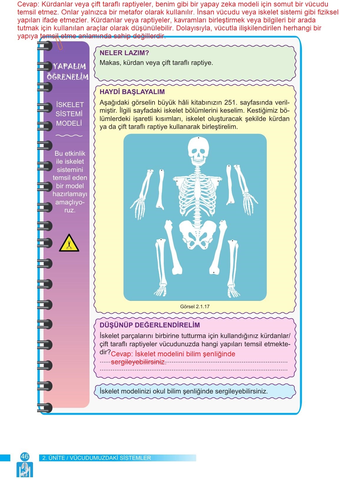 6. Sınıf Meb Yayınları Fen Bilimleri Ders Kitabı Sayfa 46 Cevapları