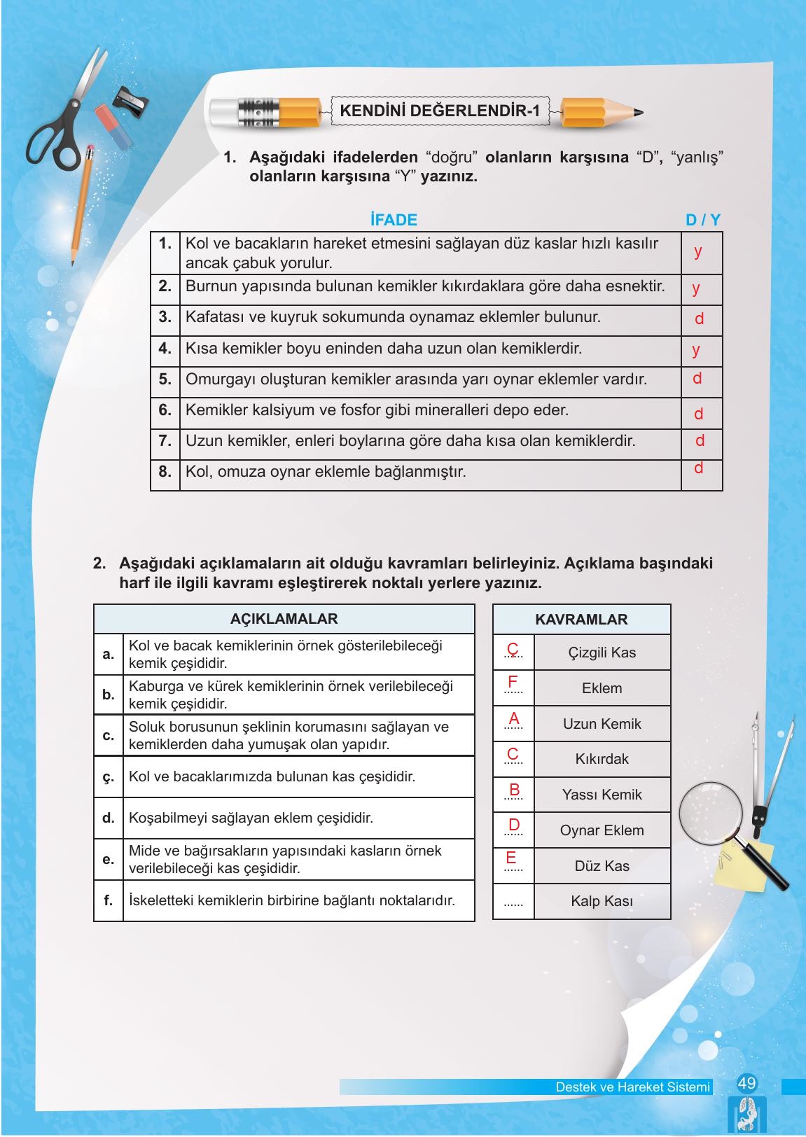 6. Sınıf Meb Yayınları Fen Bilimleri Ders Kitabı Sayfa 49 Cevapları