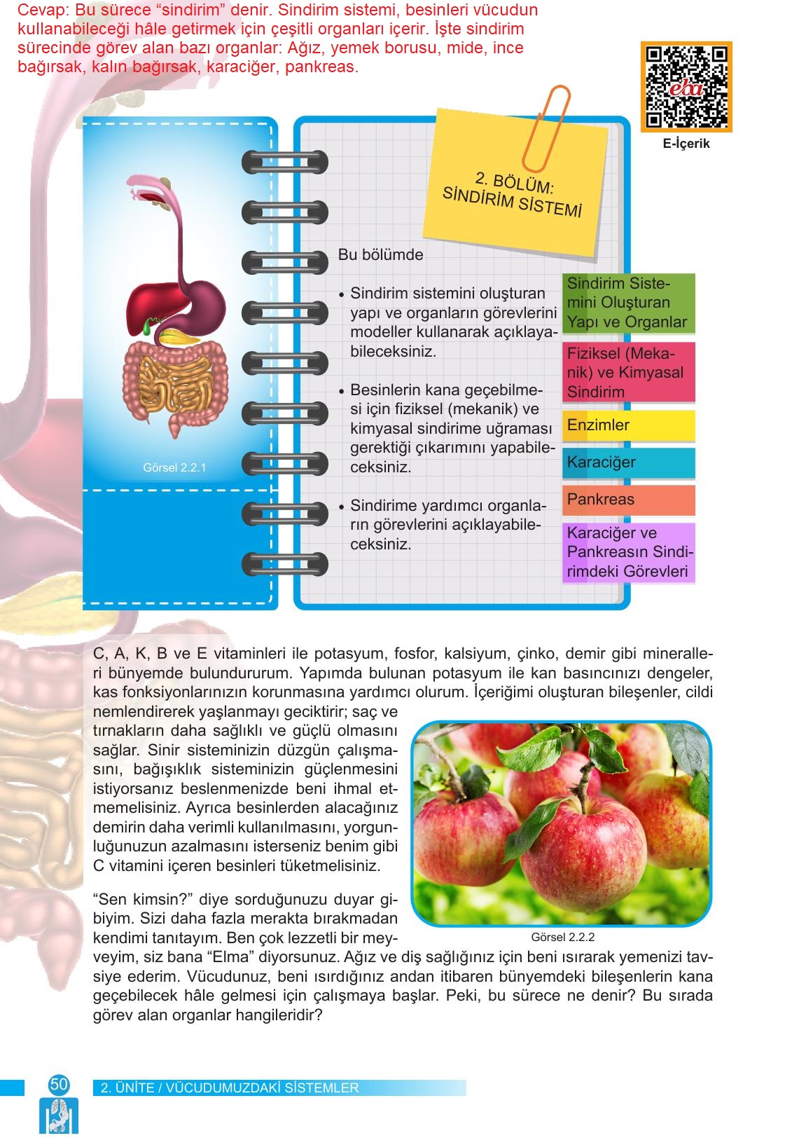 6. Sınıf Meb Yayınları Fen Bilimleri Ders Kitabı Sayfa 50 Cevapları