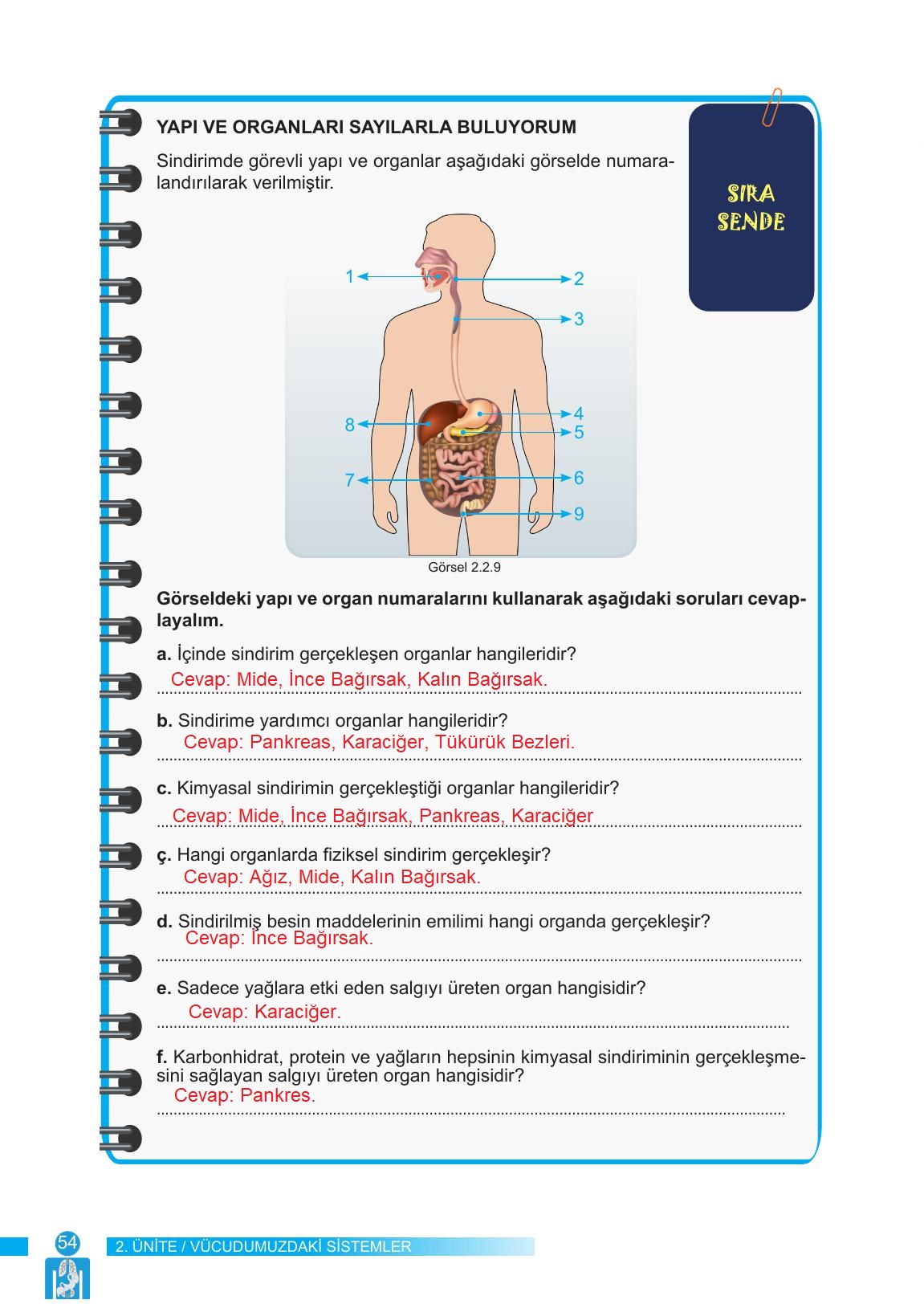 6. Sınıf Meb Yayınları Fen Bilimleri Ders Kitabı Sayfa 54 Cevapları