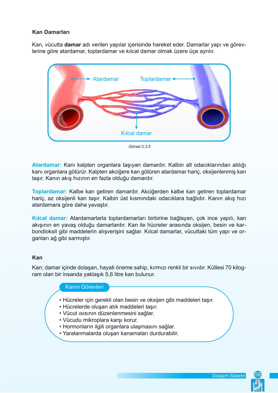 6. Sınıf Meb Yayınları Fen Bilimleri Ders Kitabı Sayfa 59 Cevapları