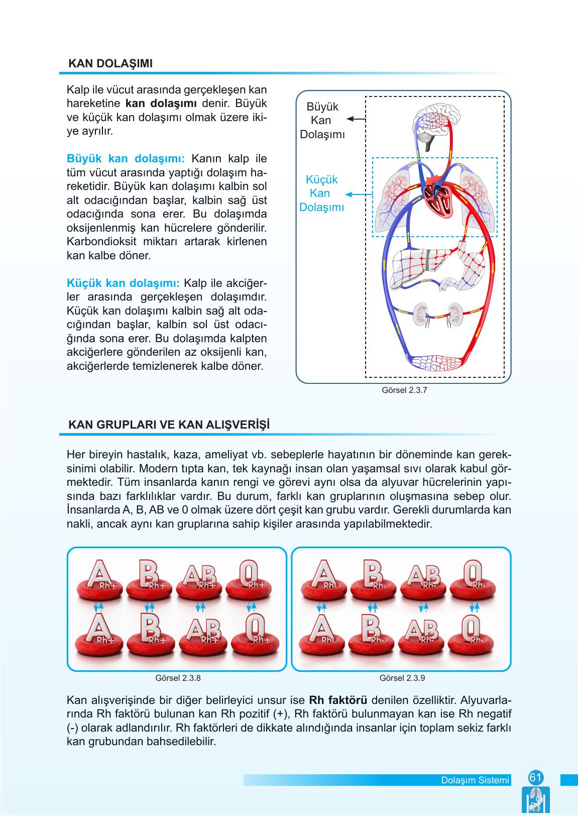6. Sınıf Meb Yayınları Fen Bilimleri Ders Kitabı Sayfa 61 Cevapları 6. Sınıf Meb Yayınları Fen Bilimleri Ders Kitabı Sayfa 61 Cevapları