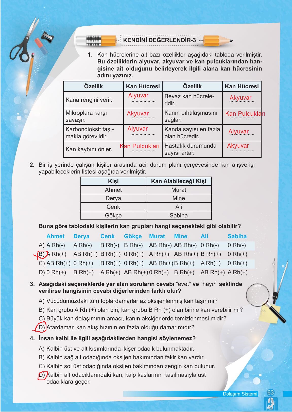 6. Sınıf Meb Yayınları Fen Bilimleri Ders Kitabı Sayfa 63 Cevapları