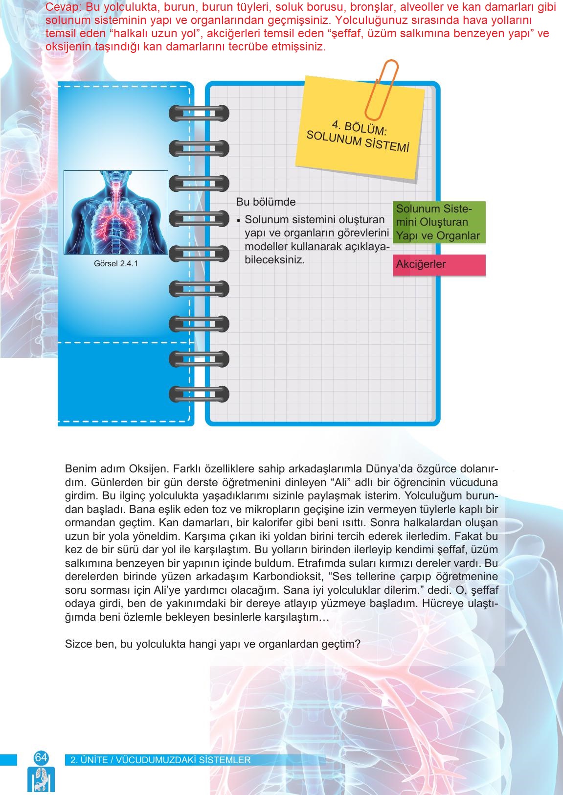 6. Sınıf Meb Yayınları Fen Bilimleri Ders Kitabı Sayfa 64 Cevapları