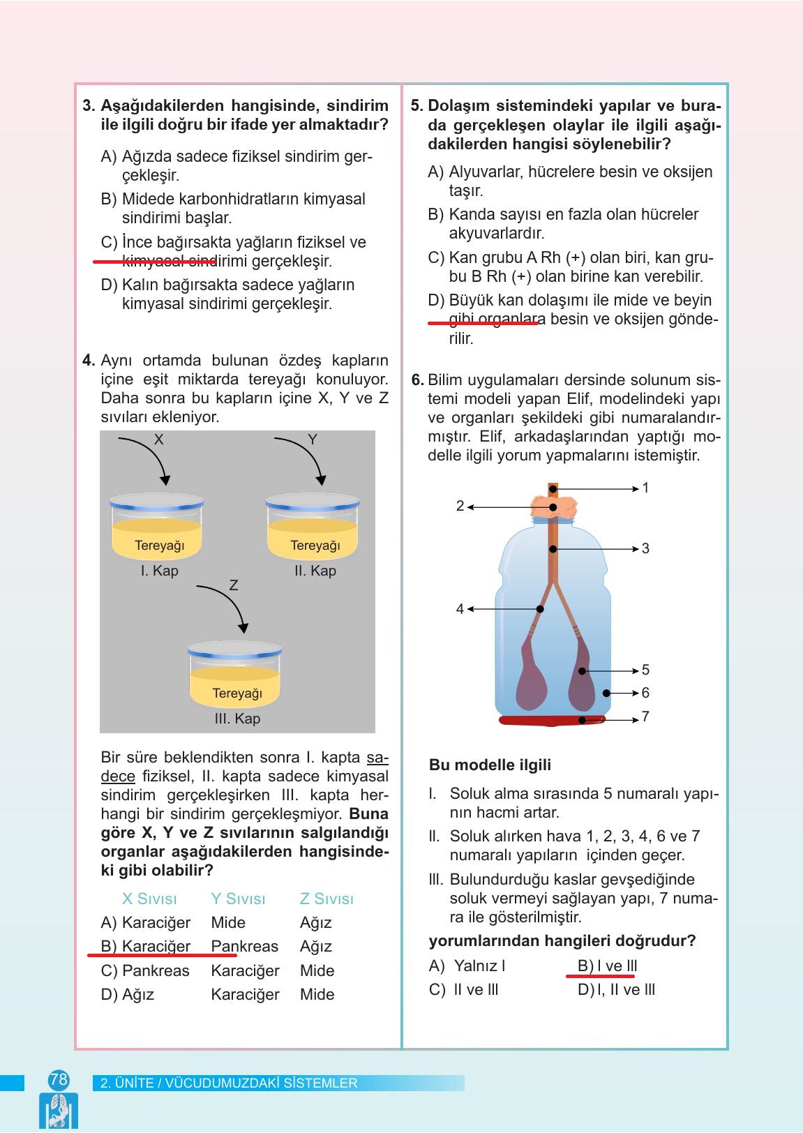 6. Sınıf Meb Yayınları Fen Bilimleri Ders Kitabı Sayfa 78 Cevapları