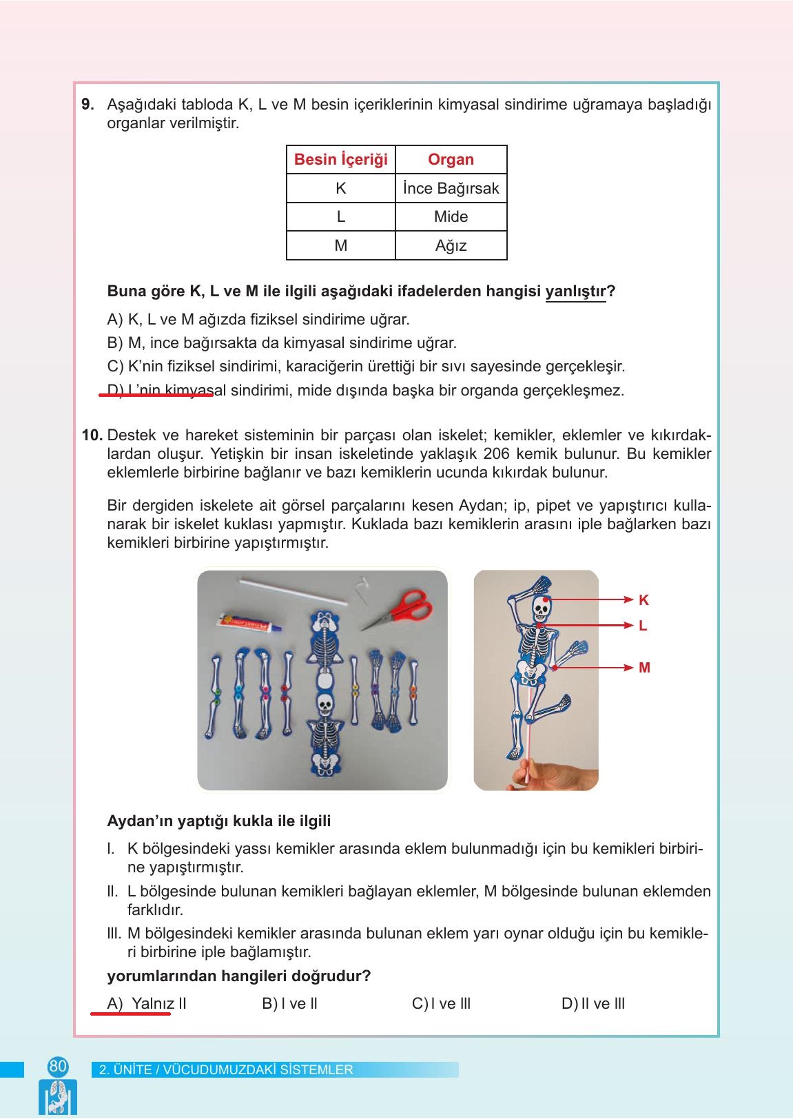 6. Sınıf Meb Yayınları Fen Bilimleri Ders Kitabı Sayfa 80 Cevapları