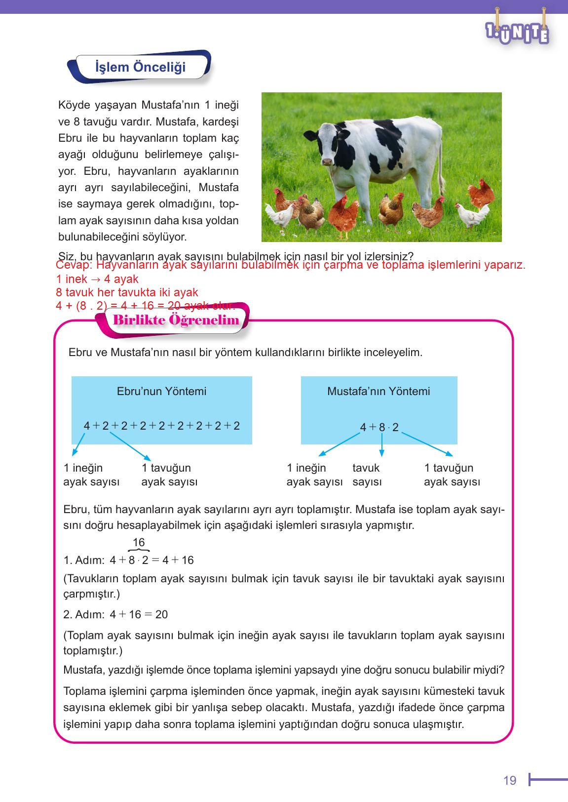 6. Sınıf Meb Yayınları Matematik Ders Kitabı Sayfa 19 Cevapları