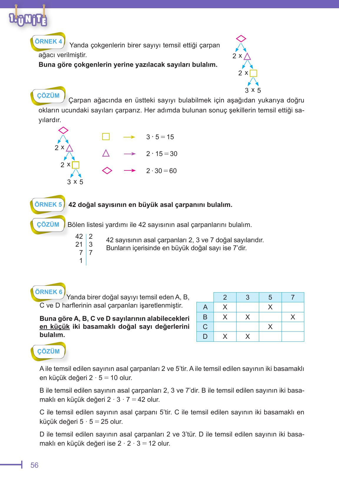 6. Sınıf Meb Yayınları Matematik Ders Kitabı Sayfa 56 Cevapları