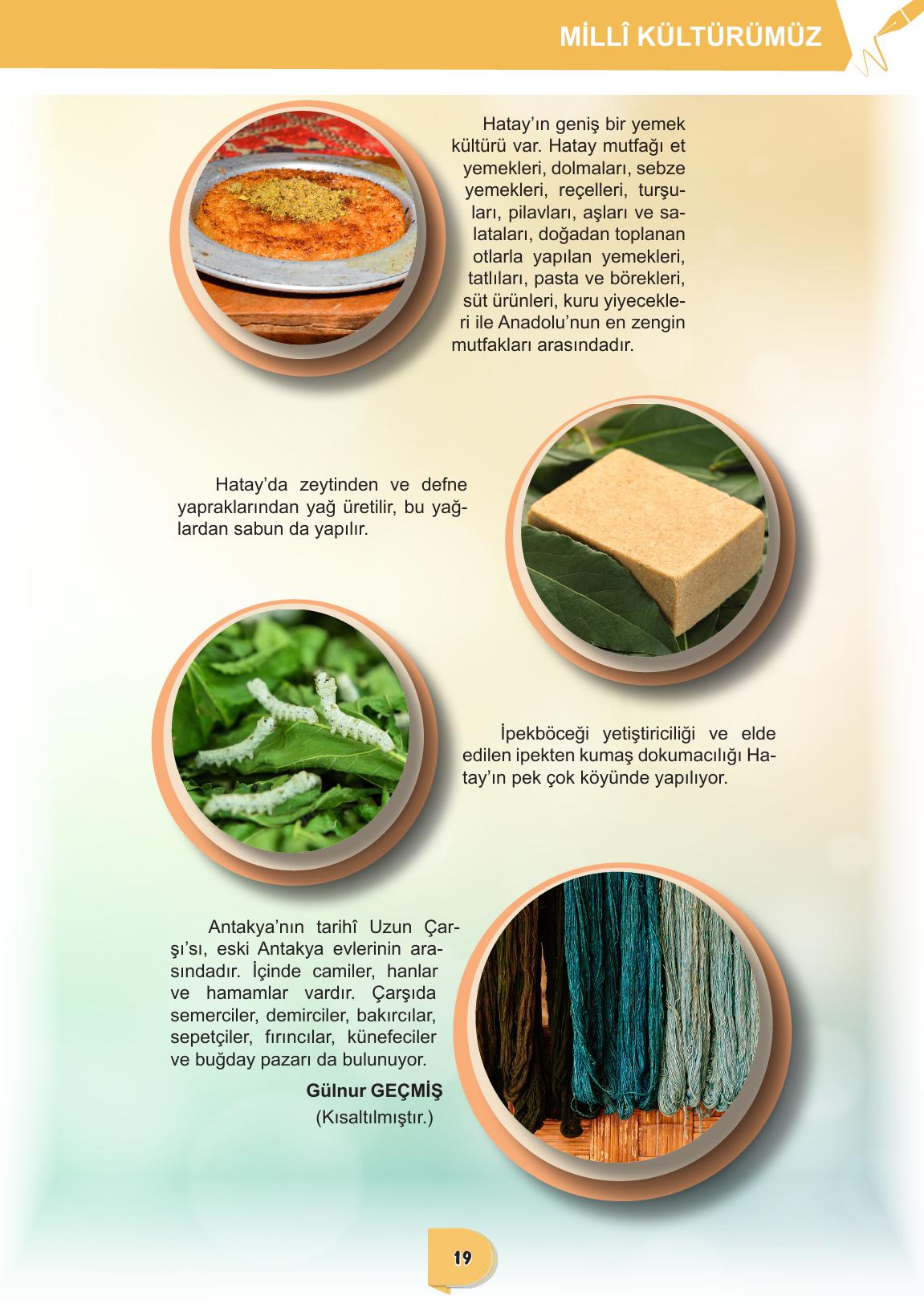 6. Sınıf Meb Yayınları Türkçe Ders Kitabı Sayfa 19 Cevapları