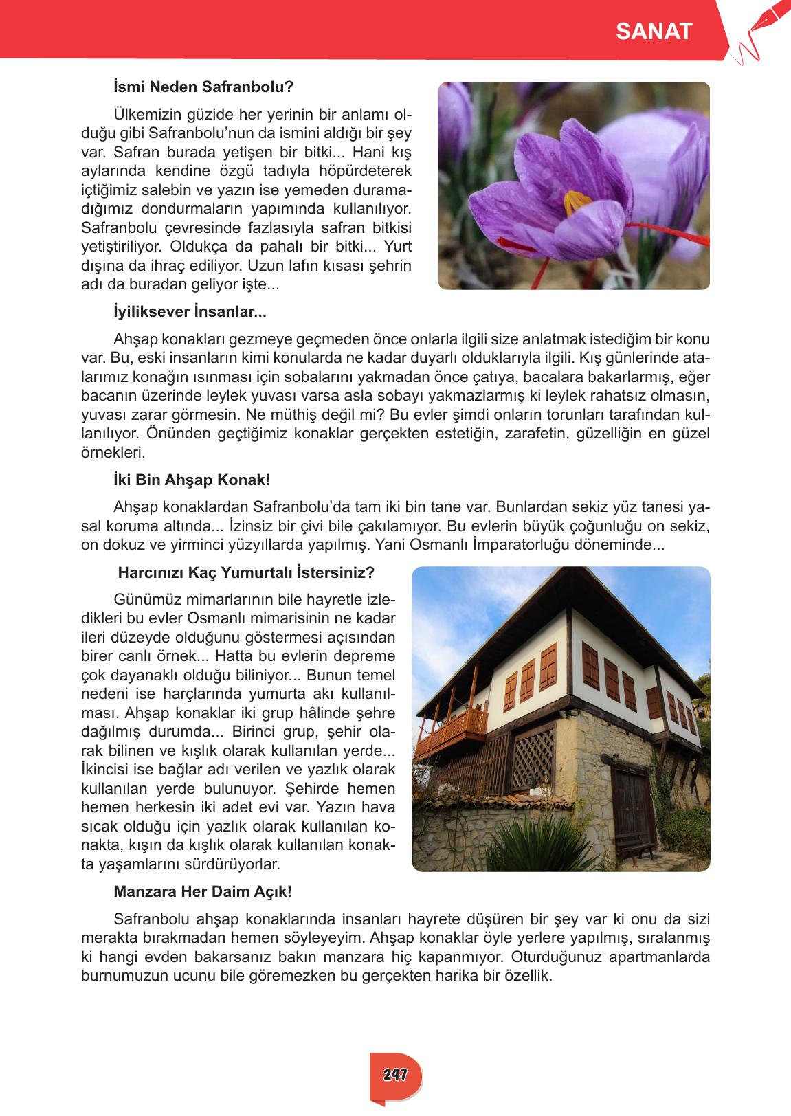 6. Sınıf Meb Yayınları Türkçe Ders Kitabı Sayfa 247 Cevapları