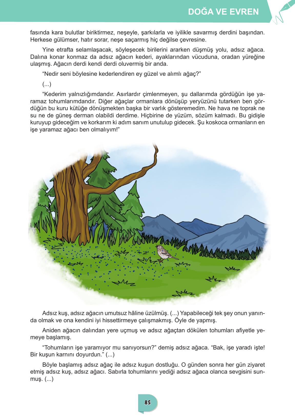 6. Sınıf Meb Yayınları Türkçe Ders Kitabı Sayfa 85 Cevapları
