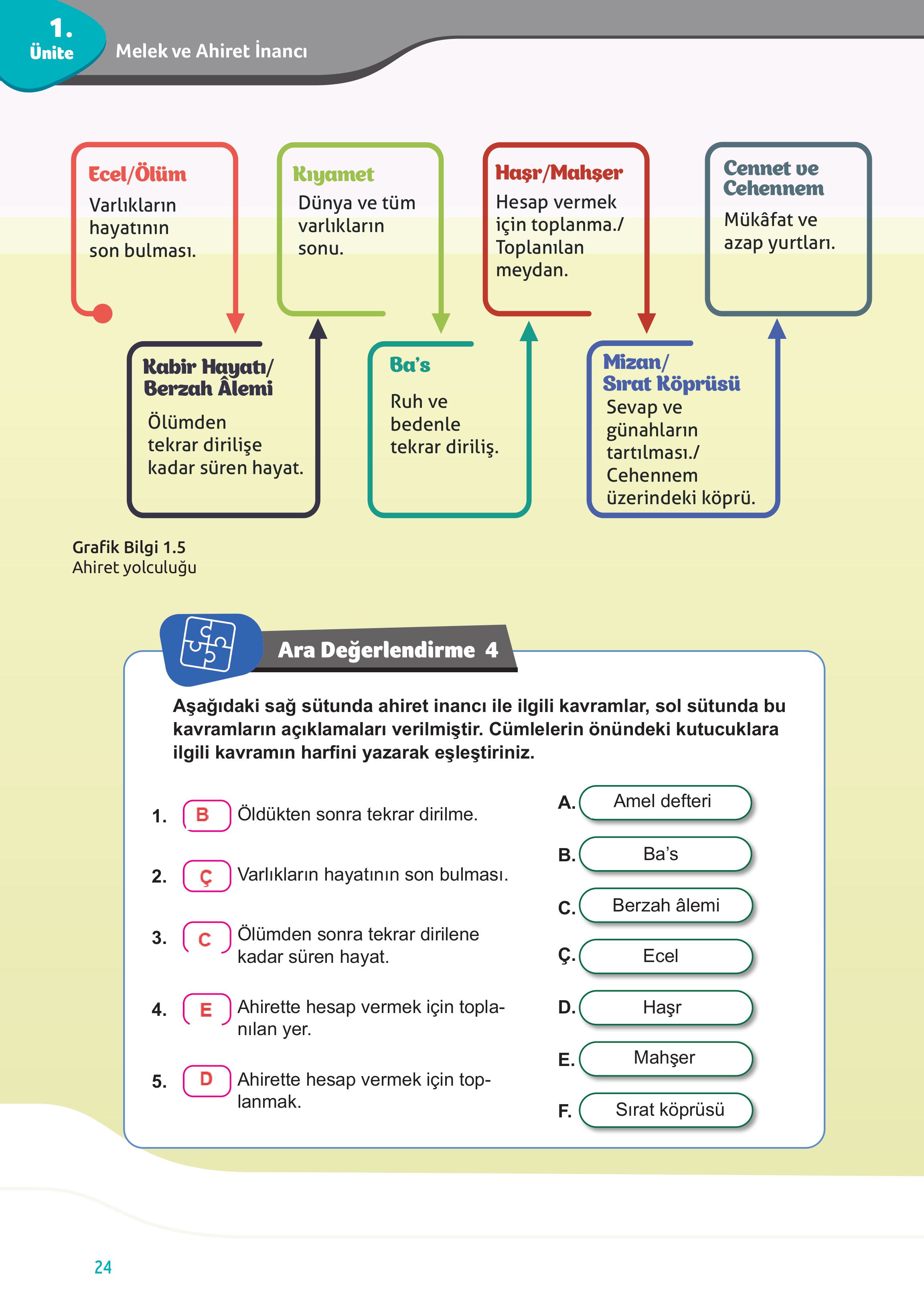 7. Sınıf Meb Yayınları Din Kültürü Ve Ahlak Bilgisi Ders Kitabı Sayfa 24 Cevapları