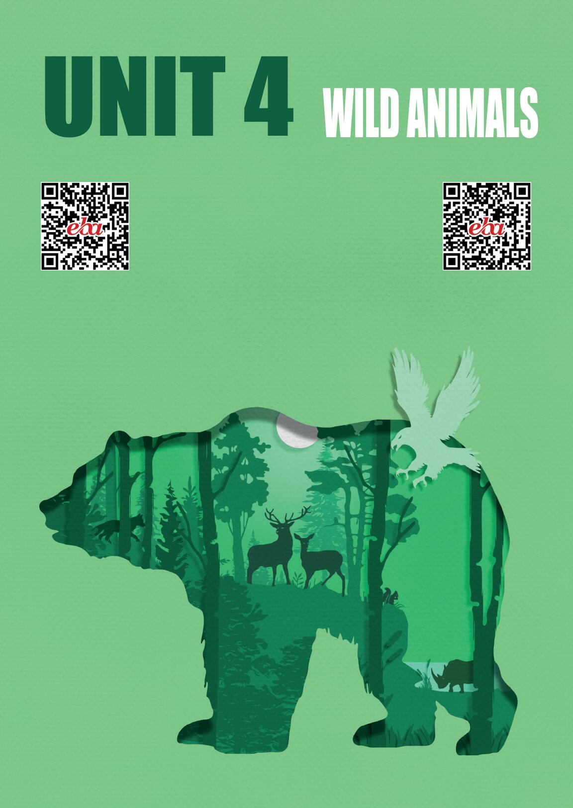 7. Sınıf Meb Yayınları İngilizce Ders Kitabı Sayfa 45 Cevapları