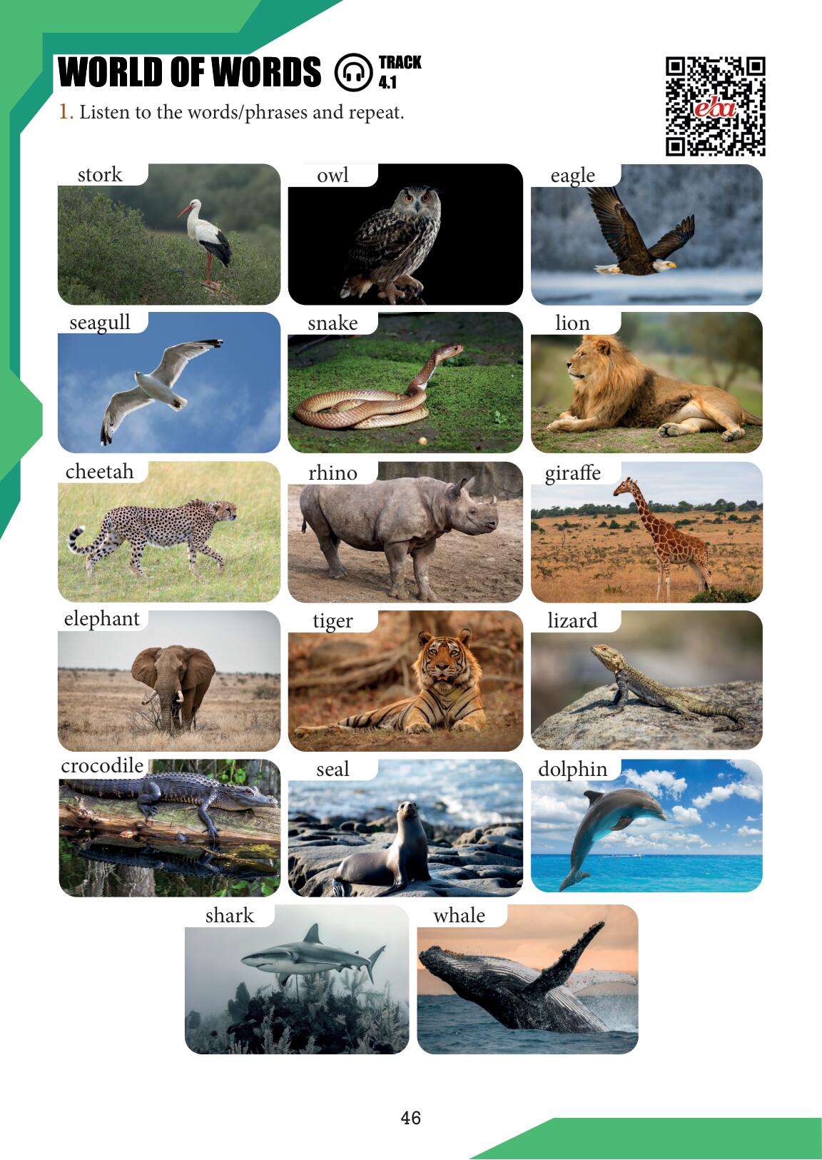 7. Sınıf Meb Yayınları İngilizce Ders Kitabı Sayfa 46 Cevapları