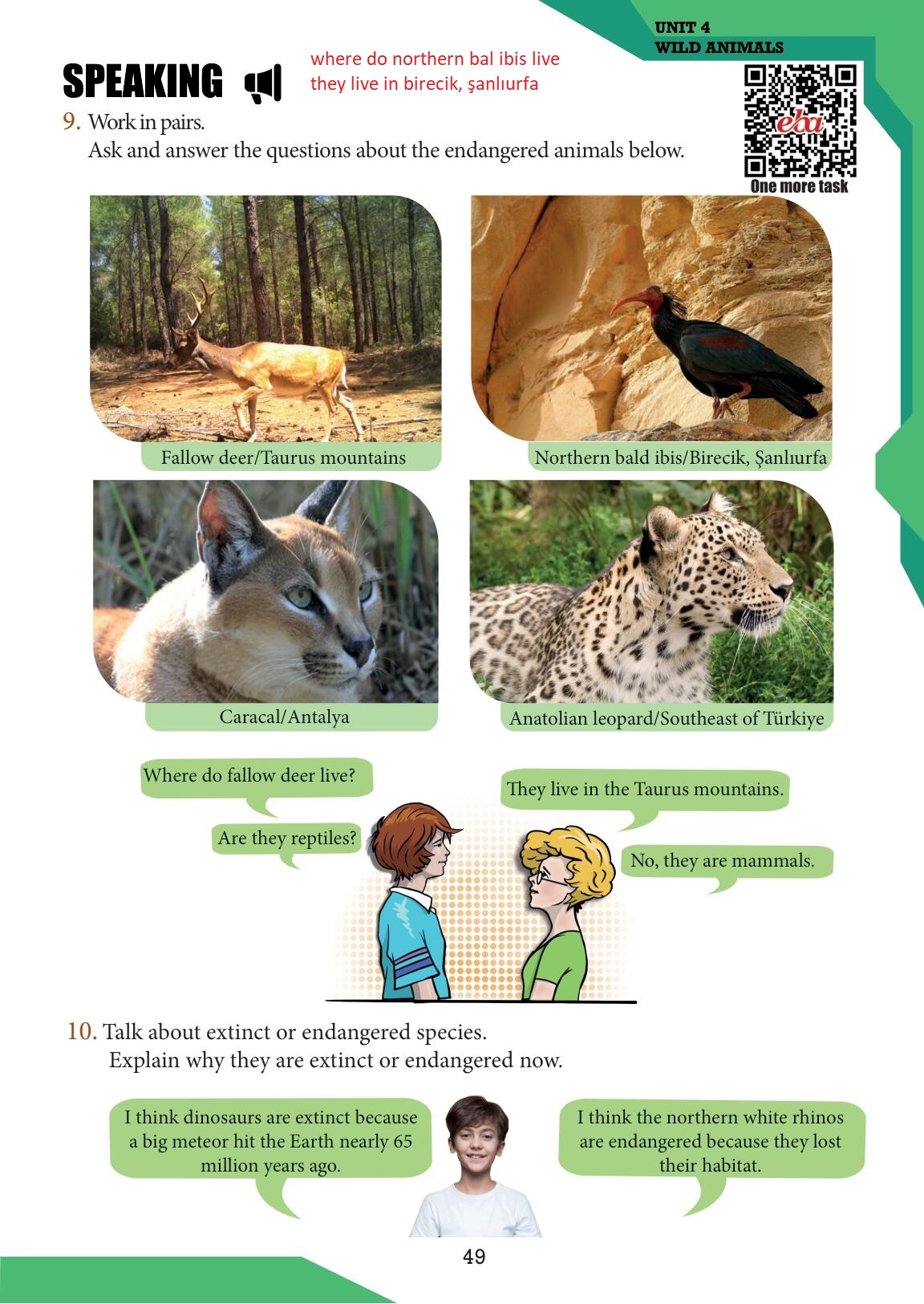 7. Sınıf Meb Yayınları İngilizce Ders Kitabı Sayfa 49 Cevapları