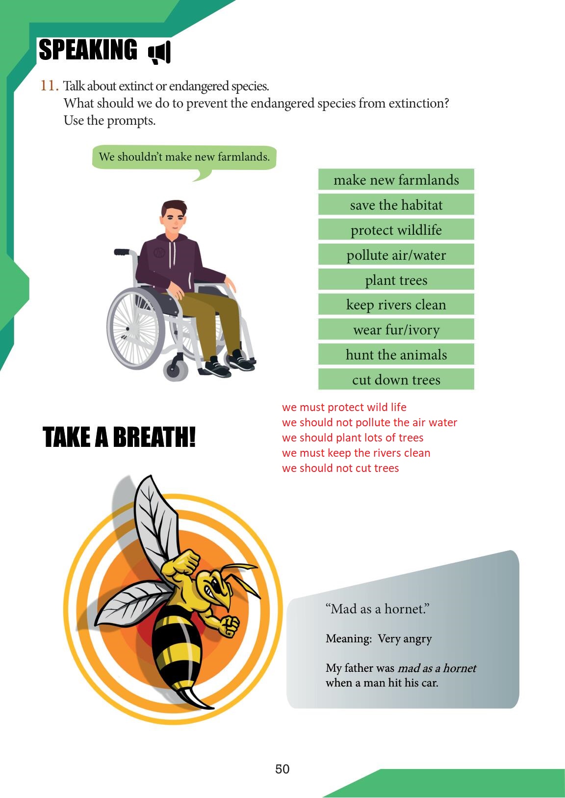 7. Sınıf Meb Yayınları İngilizce Ders Kitabı Sayfa 50 Cevapları