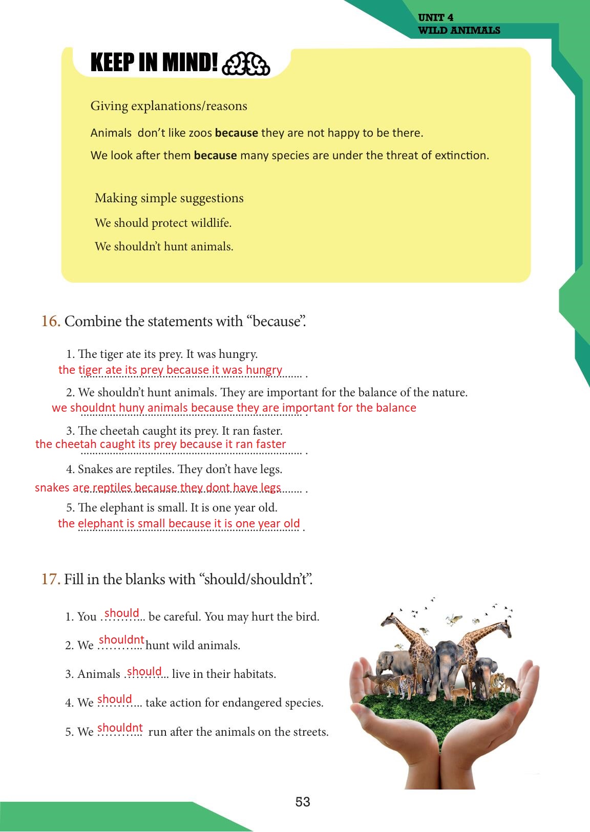 7. Sınıf Meb Yayınları İngilizce Ders Kitabı Sayfa 53 Cevapları