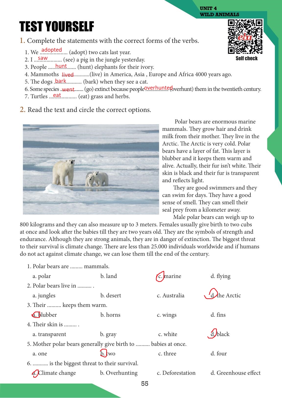 7. Sınıf Meb Yayınları İngilizce Ders Kitabı Sayfa 55 Cevapları