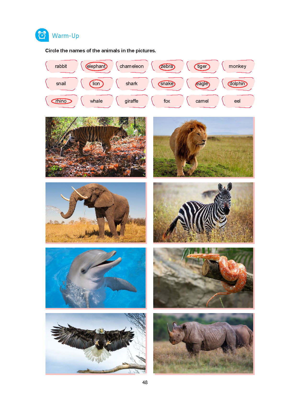 7. Sınıf Yıldırım Yayınları İngilizce Ders Kitabı Sayfa 048 Cevapları