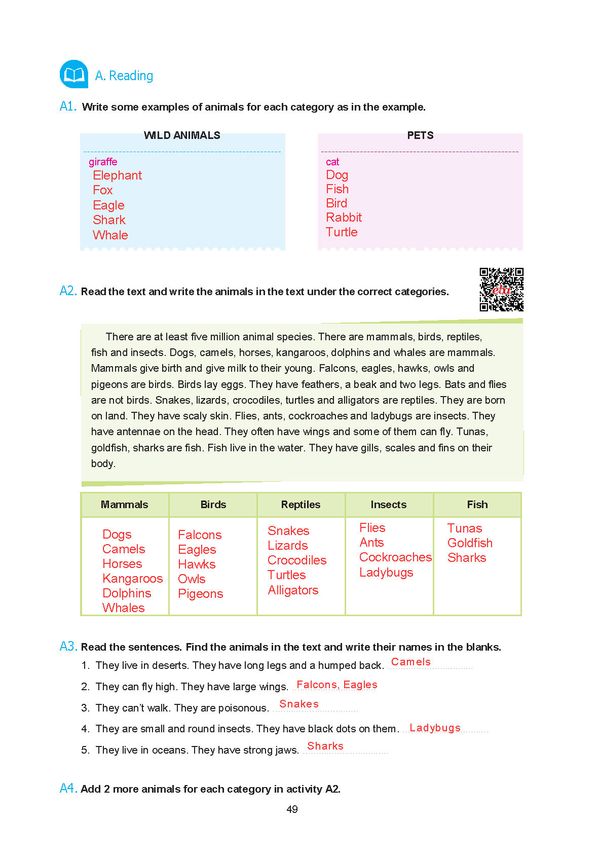 7. Sınıf Yıldırım Yayınları İngilizce Ders Kitabı Sayfa 049 Cevapları