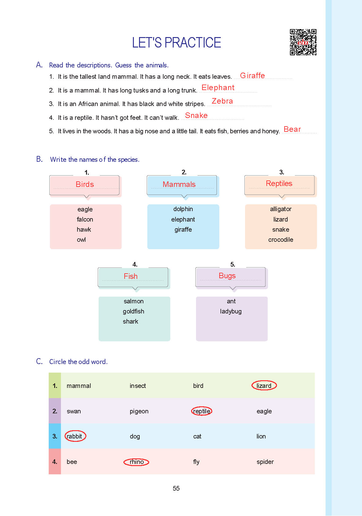 7. Sınıf Yıldırım Yayınları İngilizce Ders Kitabı Sayfa 055 Cevapları