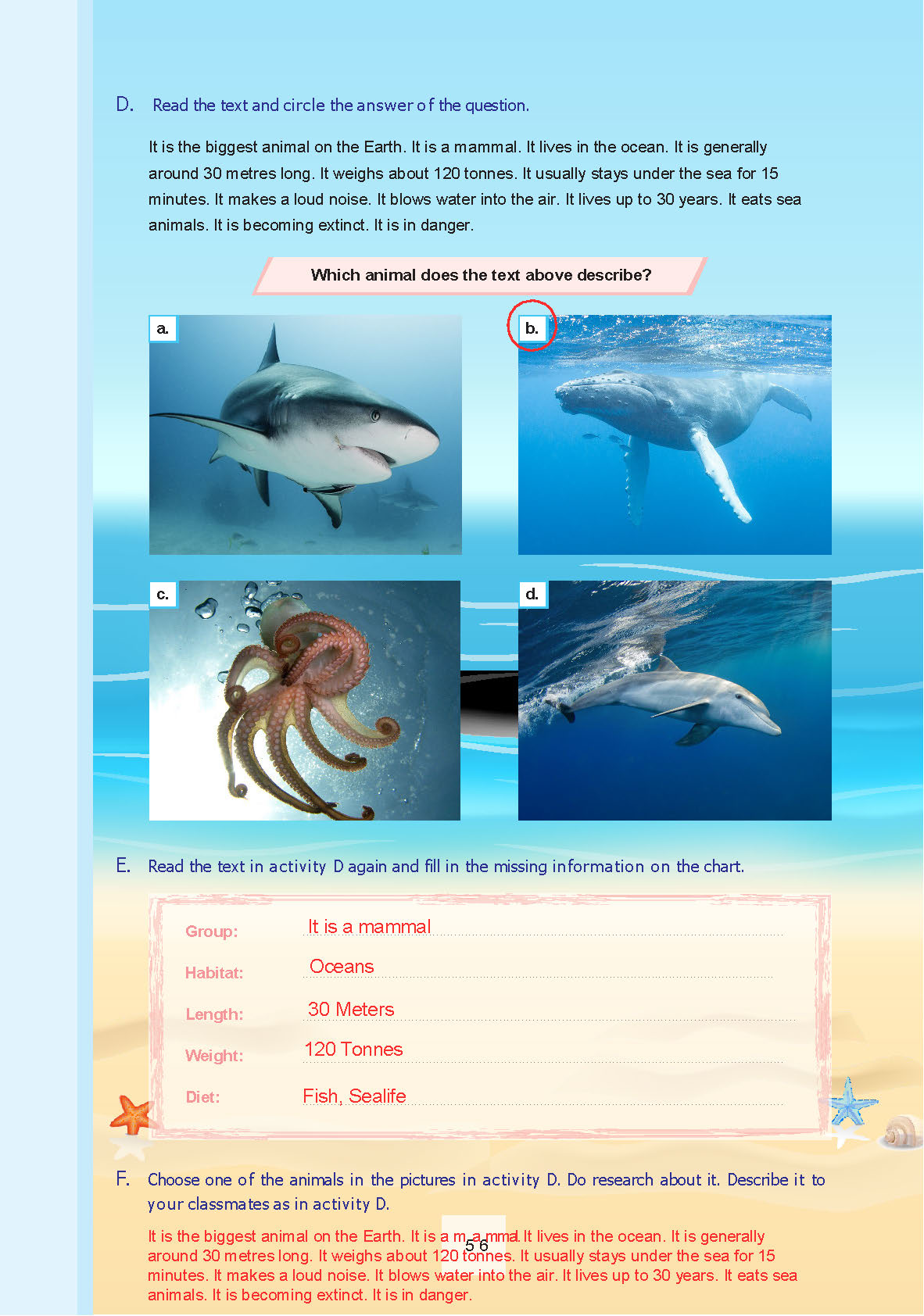 7. Sınıf Yıldırım Yayınları İngilizce Ders Kitabı Sayfa 056 Cevapları