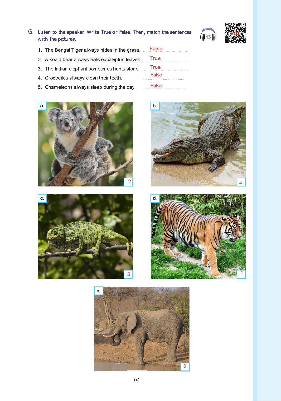7. Sınıf Yıldırım Yayınları İngilizce Ders Kitabı Sayfa 057 Cevapları