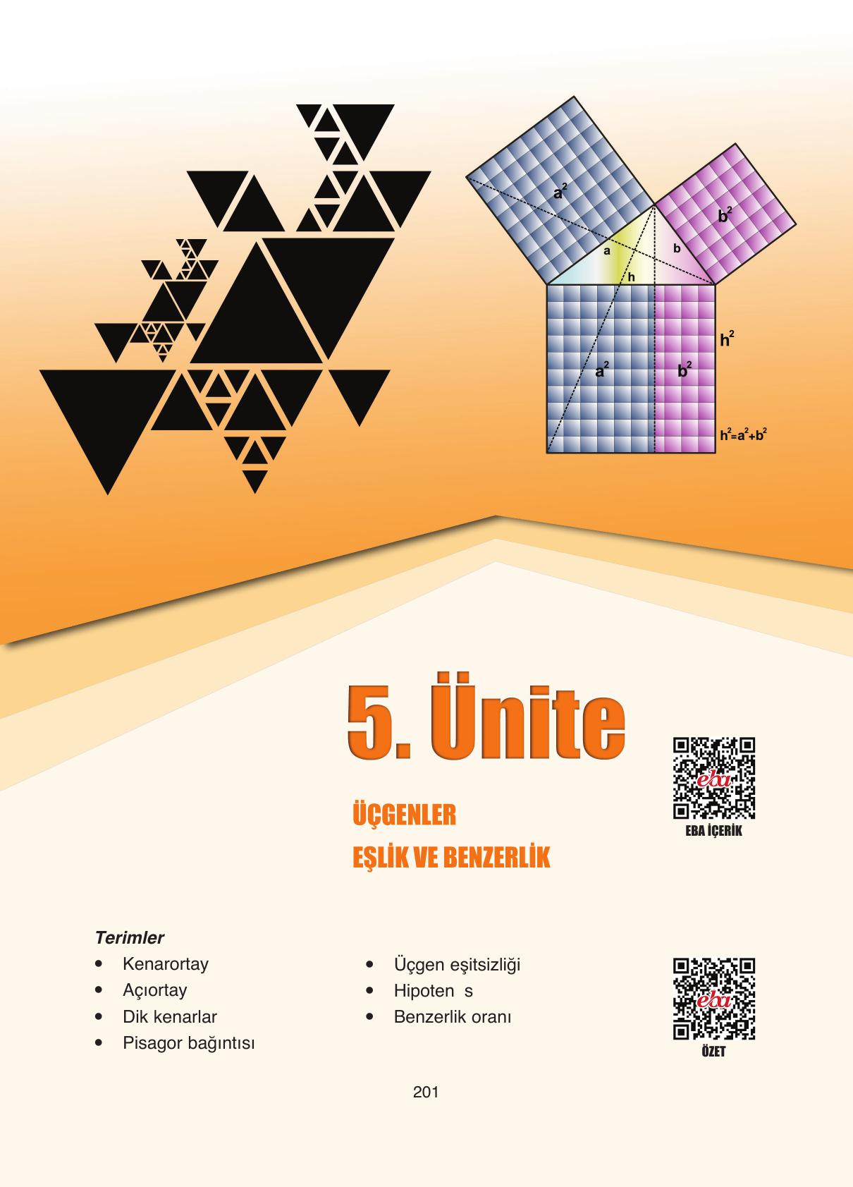 8. Sınıf Ada Yayıncılık Matematik Ders Kitabı Sayfa 201 Cevapları