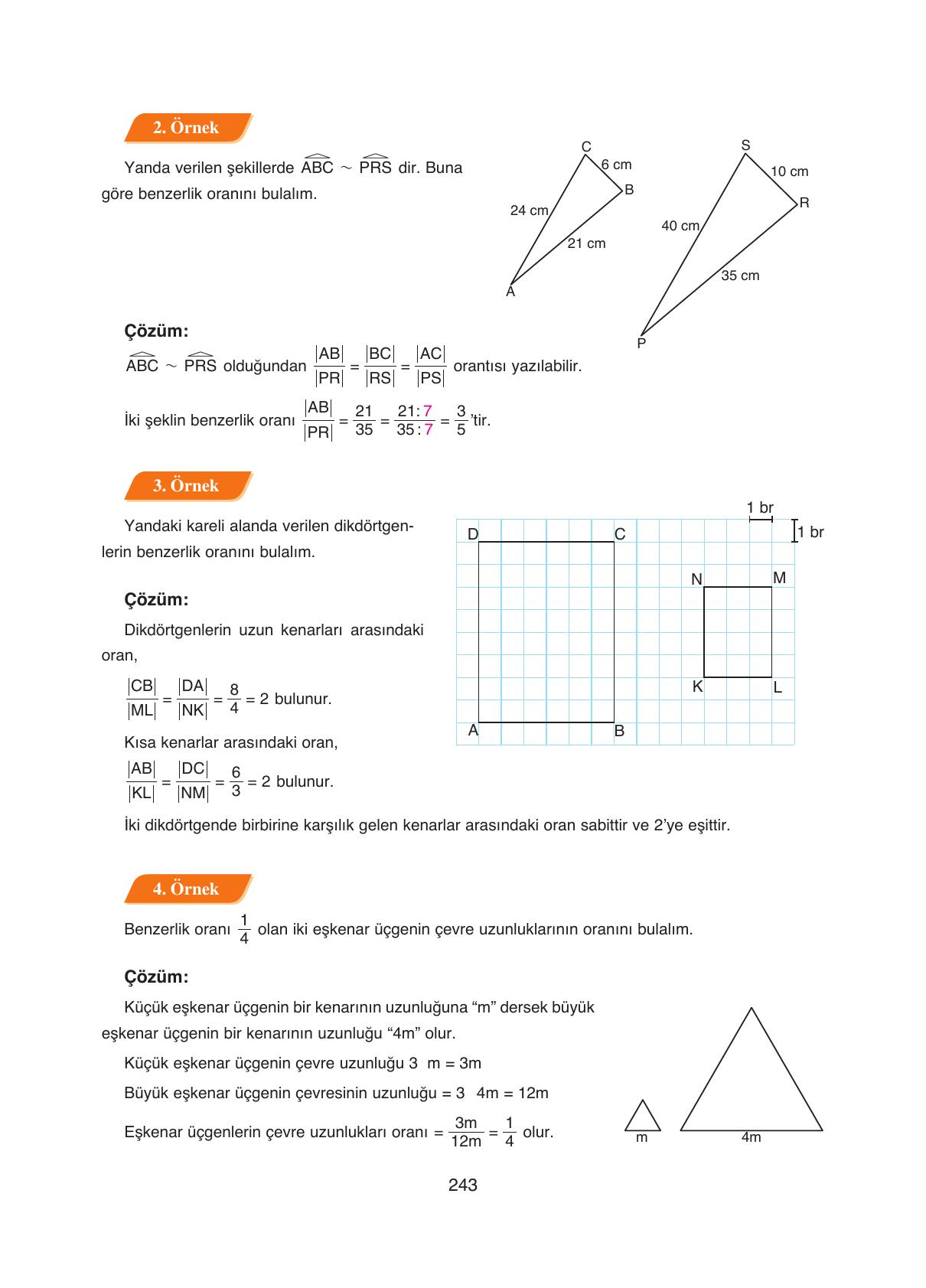 8. Sınıf Ada Yayıncılık Matematik Ders Kitabı Sayfa 243 Cevapları